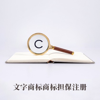 贵州文字商标担保注册
